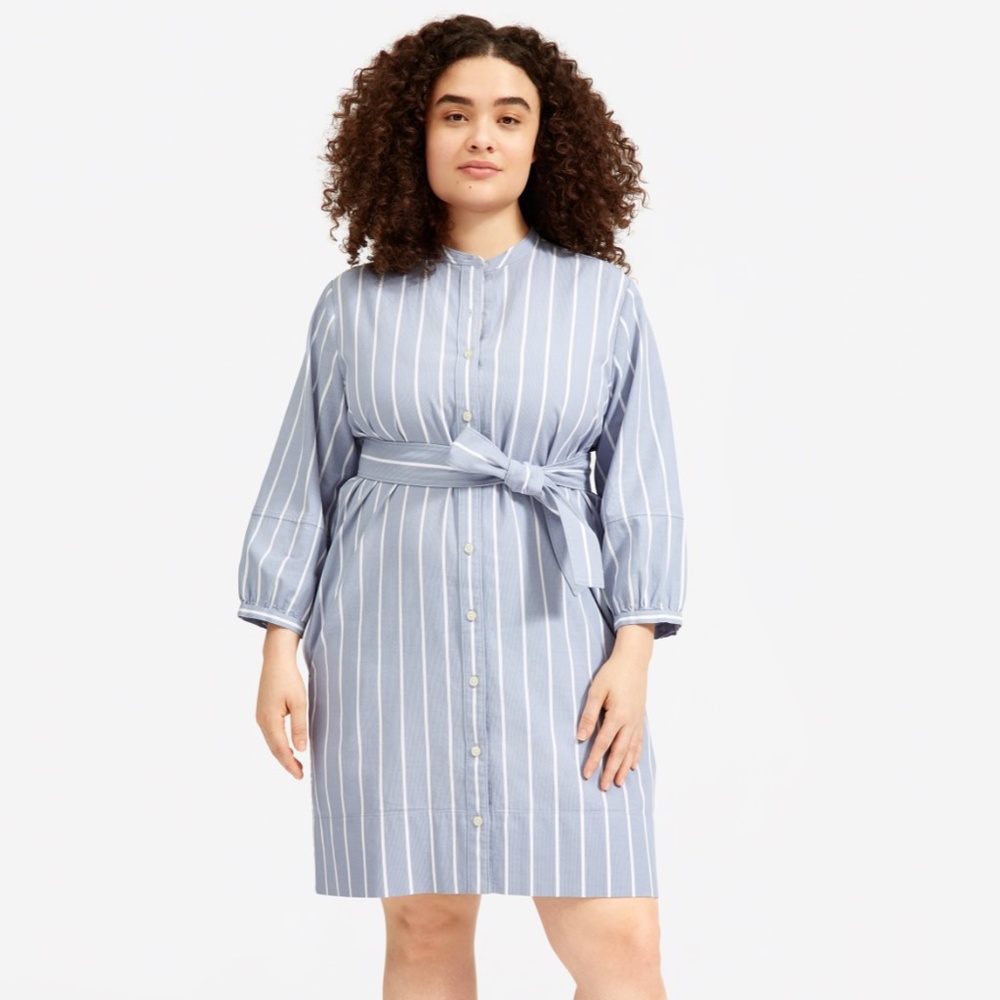 Everlane Blue White Stripe Shirtdress Size 10